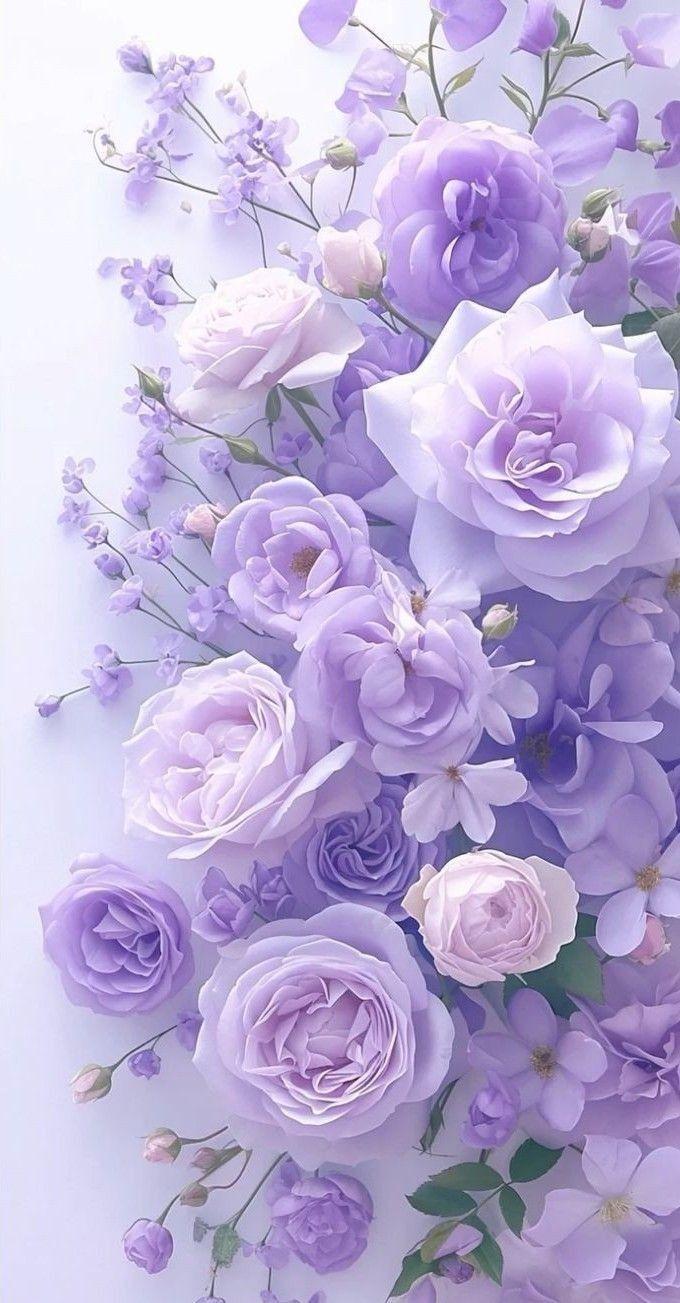 Eternal Spring’s Vivid Embrace