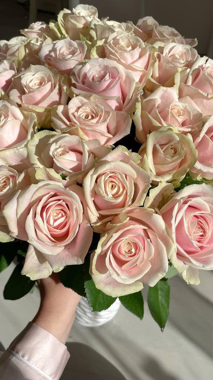 Celestial Dance of Fragrant Wonders